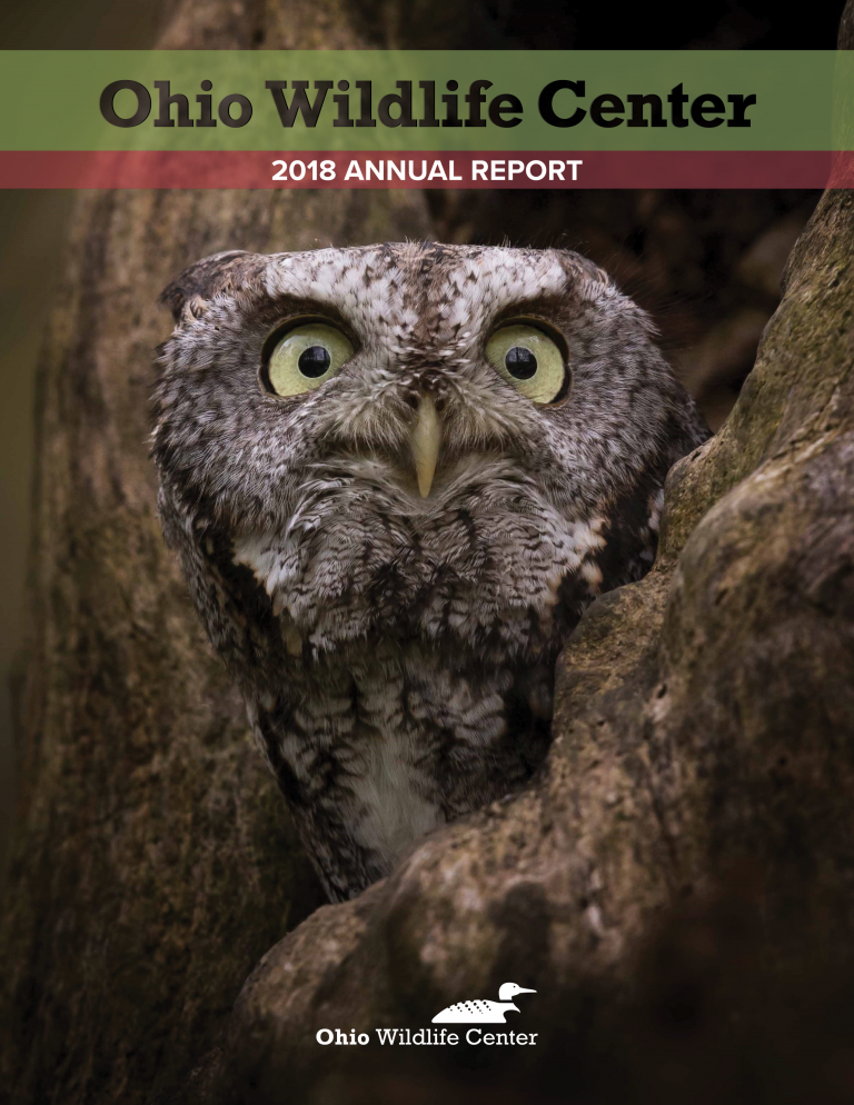 2018 Annual Report Ohio Wildlife Center 4327